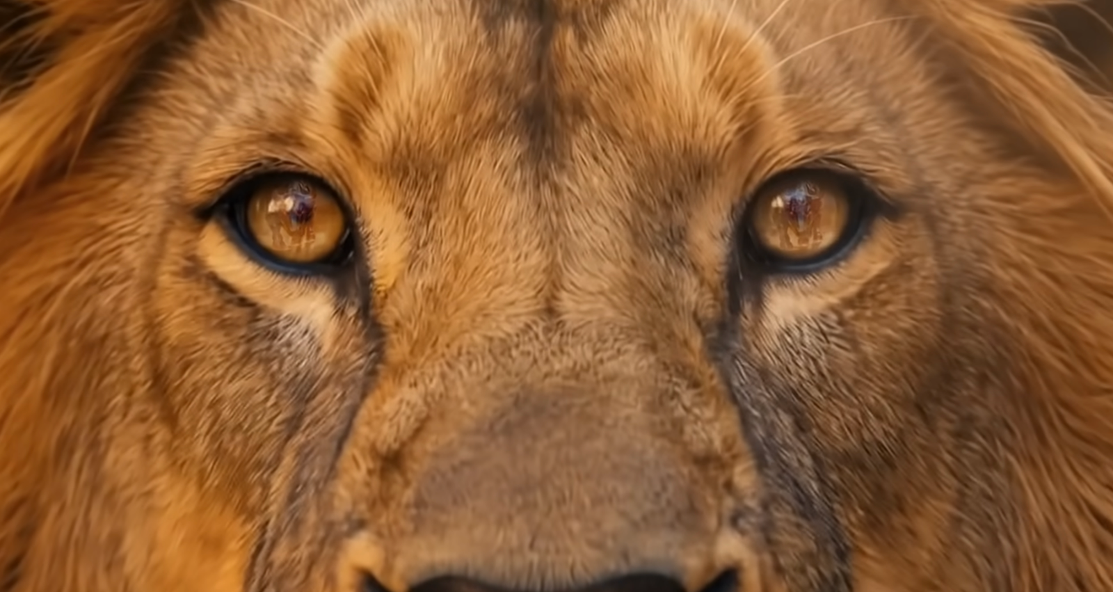 Publicis Groupe da vida a su pasado con IA e innovación, para celebrar su primer siglo y marcar el rumbo del siguiente